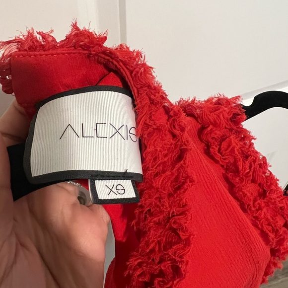 Alexis Red Ruffle Silk Top - Picture 5 of 5